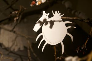 Stor edderkoppDSC_0070